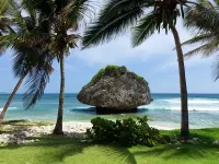 Пазл Природа тропики