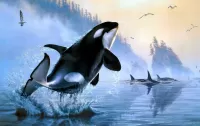 Пазл Прыжок косатки