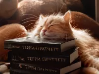 Пазл Прочёл всё