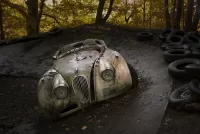 Пазл Прошлое