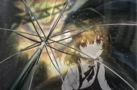 Пазл Прозрачный зонт