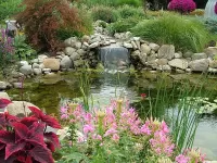 Пазл Прудик