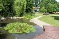 Пазл Прудик с лотосами