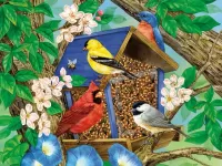 Пазл Птички