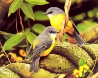 Пазл Птицы на дереве