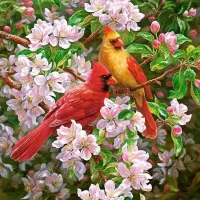 Пазл Птицы на яблоне