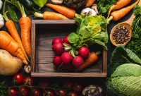 Пазл Пучок редиса