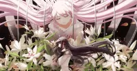 Пазл Puella Magi Madoka Magica