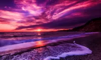 Пазл Purple sunset