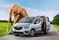 Пазл Пустите порулить