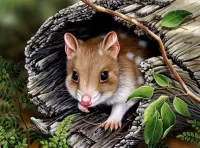 Пазл Пятнистая куница