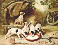 Пазл Пьют молочко