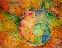 Пазл Раковина