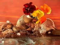 Пазл Раковины в цветах