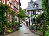 Пазл Рансбах-Баумбах