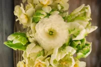 Пазл Ранункулюс