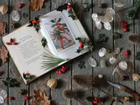 Пазл Раскрытая книга