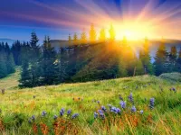 Пазл Рассвет