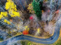 Пазл Разноцветная осень