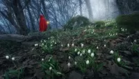 Пазл Red Riding Hood