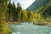 Пазл Река в лесу