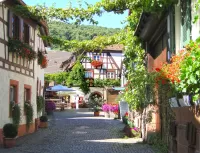 Пазл Ресторан Зум Лам