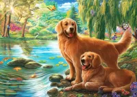Пазл Ретриверы