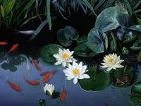 Пазл Рыбки среди лотосов