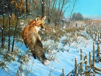 Пазл Рыжая плутовка