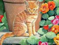 Пазл Рыжий котёнок 