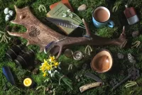 Пазл Рог лани