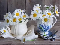 Пазл Ромашки 