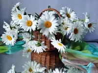Пазл Ромашки в корзинке