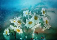 Пазл Ромашки веером