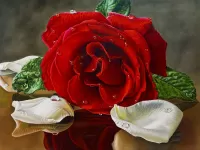 Пазл Роза и лепестки