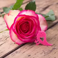 Пазл Роза и птица