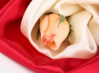 Пазл Роза на ткани