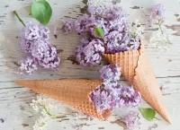 Пазл Рожок сирени
