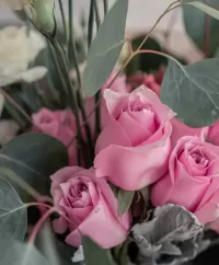 Пазл Розы и листья