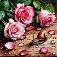 Пазл Розы и улитка