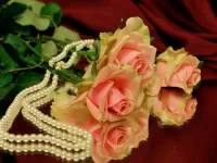 Пазл Розы и жемчуг