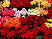 Пазл Розы на продажу