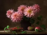 Пазл Розовые георгины