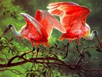 Пазл Розовые колпицы 