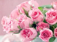 Пазл Розовые розы