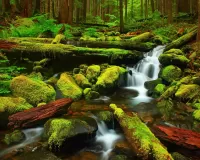 Пазл Ручей в лесу
