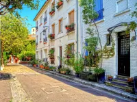 Пазл Rue des Volubilis