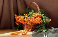 Пазл Рябиновые бусы