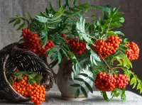 Пазл Рябиновый букет 