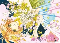 Пазл Sakura Kinomoto